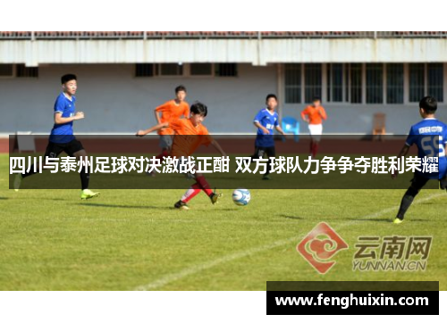 四川与泰州足球对决激战正酣 双方球队力争争夺胜利荣耀